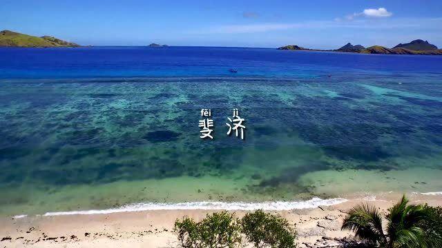 ”见行见效 津彩绽放”活动参赛作品:翰墨传福韵 祥龙迎新春